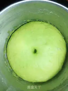 Make caterpillar step 4