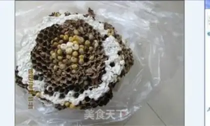 Make Blast the bees step 0