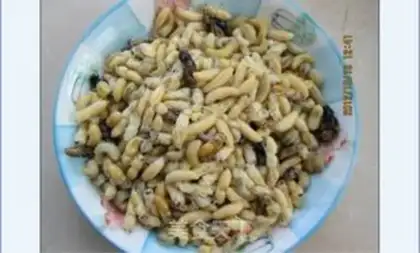 Make Blast the bees step 1