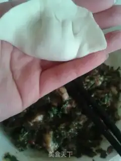 Make The meat dumplings step 3