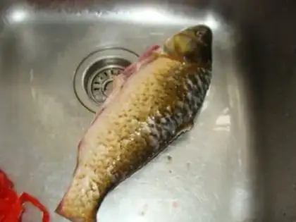 Make Squid soup step 0