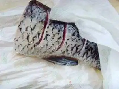 Make Red grassfish tail step 1
