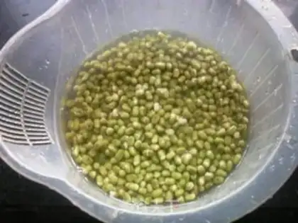 Make Green bean sprouts step 2