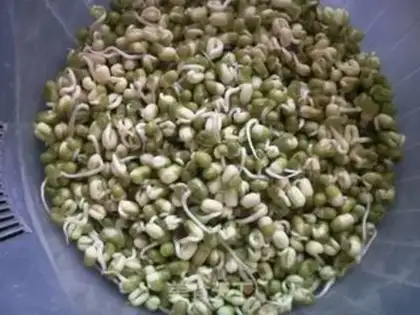 Make Green bean sprouts step 6