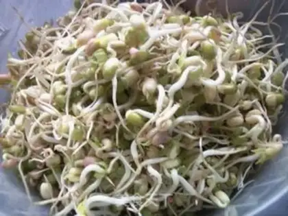 Make Green bean sprouts step 7