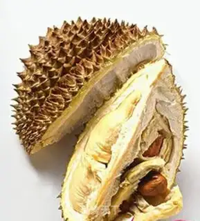 Make The durian step 0