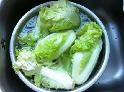 Make Vegetable dumplings step 0