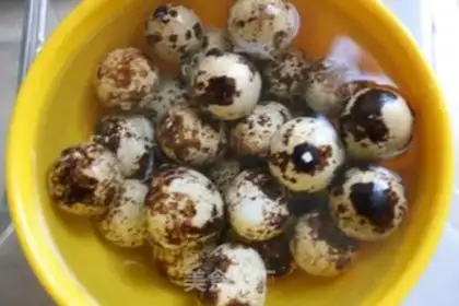 Make Quick decorating quail eggs step 2