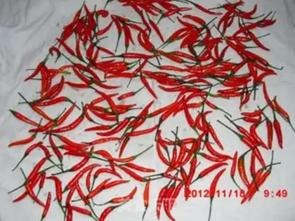 Make Homemade peppers step 1