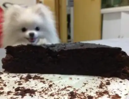 Make Brownie step 7