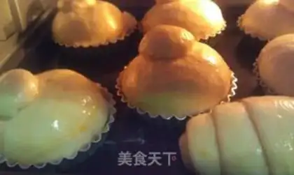 Make Blios step 11