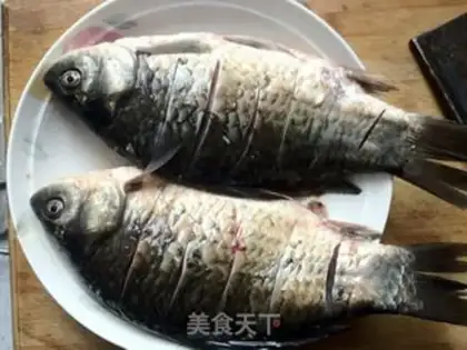 Make Squidfish step 1