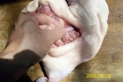 Make step 9