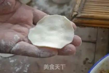Make Beef dumplings step 14