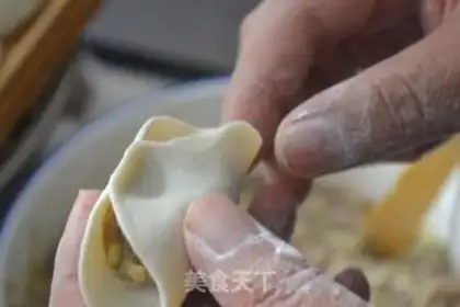 Make Beef dumplings step 22
