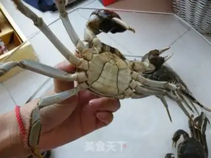 Make Crab fan step 0