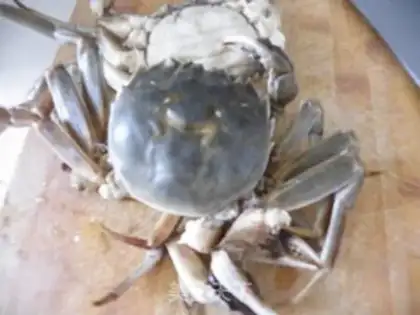 Make Crab fan step 2