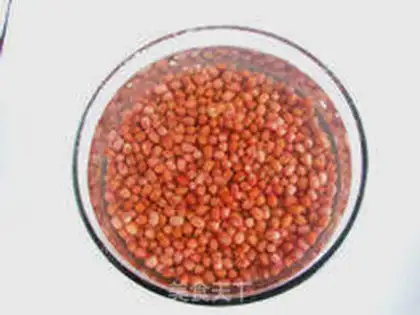 Make Homemade bean step 0