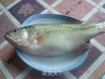 Make Squidfish step 0