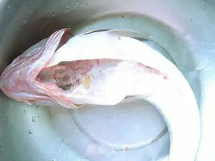 Make Garlic catfish step 1