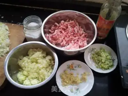 Make Pork dumplings step 0