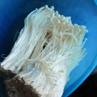 Make Spicy golden needle mushrooms step 0