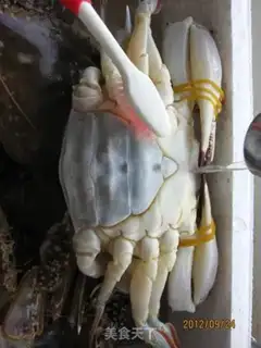 Make Crabs step 1