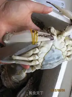 Make Crabs step 2