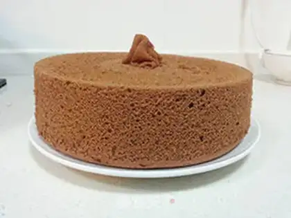 Make Coco Chi Fung step 11