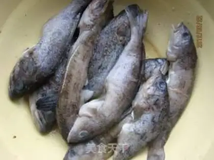 Make The little seafish step 0