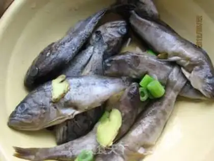 Make The little seafish step 1