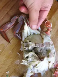 Make Rop and Crab step 1