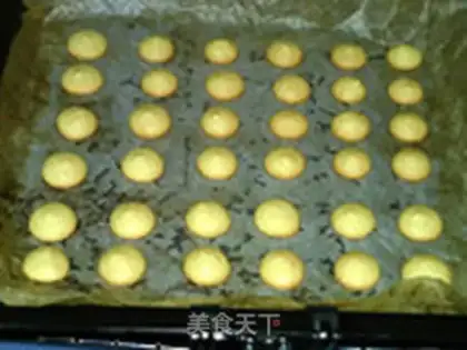 Make Egg yolk step 15