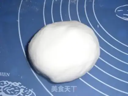 Make A flowery crystal shrimp bag step 5