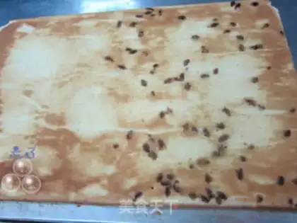 Make Blueberry coconut rolls step 4