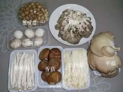 Make The fungus pan step 4