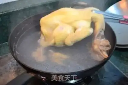 Make White pheasant step 2