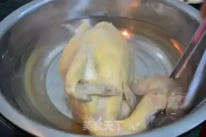 Make White pheasant step 3