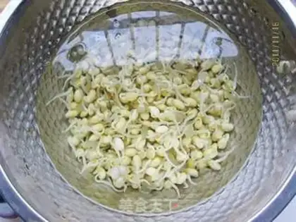 Make Soybean sprouts step 2