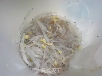 Make Silverfish running eggs step 1