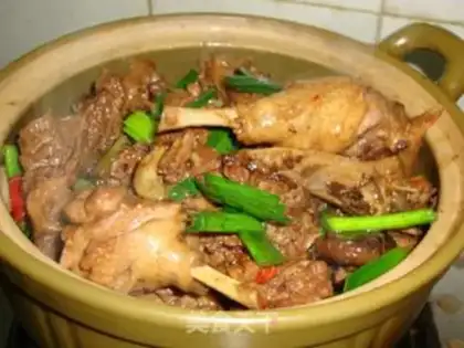 Make A beer, a stupor duck step 10
