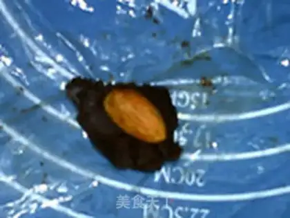 Make Ferrero step 7