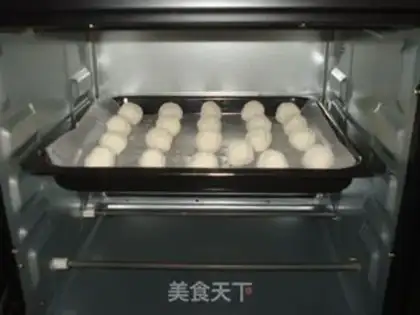 Make Protein coconut ball step 9