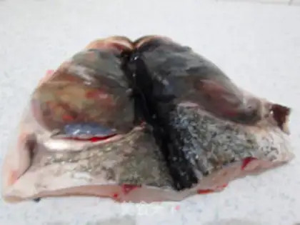 Make Fish-head hotpot step 7