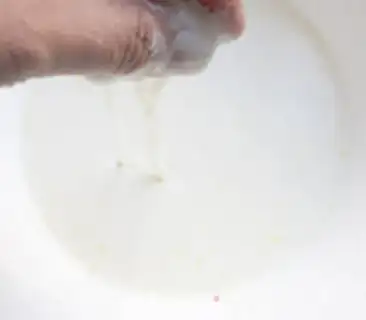 Make Pork step 5