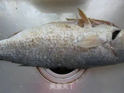 Make Soup cheese and roasted fish step 0