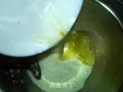 Make Protein coconut ball step 4