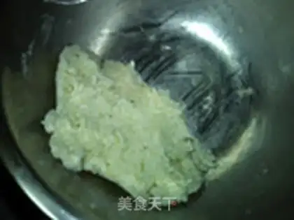 Make Protein coconut ball step 5