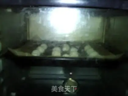 Make Protein coconut ball step 9