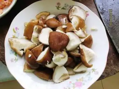 Make Pelican mushroom tofu step 0